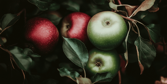 Tree Size and Rootstock Options for Apple Trees - Grow Organic