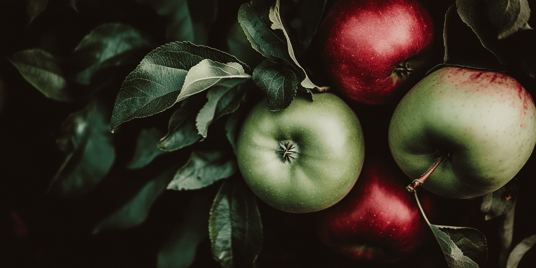 Apples and seeds for growing an apple tree from seed