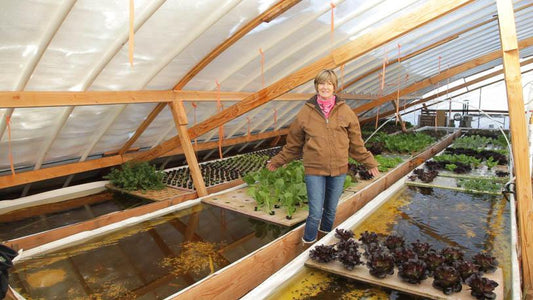 Choosing Fish for Your Aquaponic System - Grow Organic