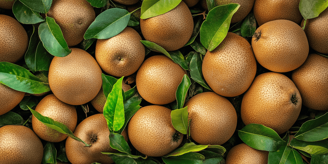 Asian pears illustrating seasonal tree growth stages