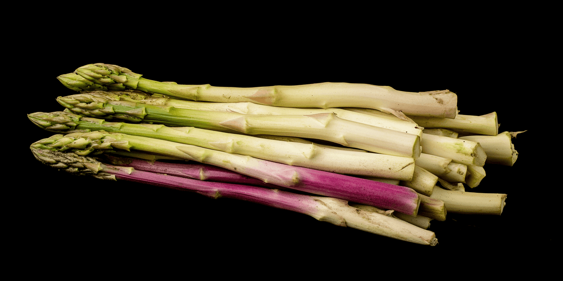 Bundle of white asparagus spears