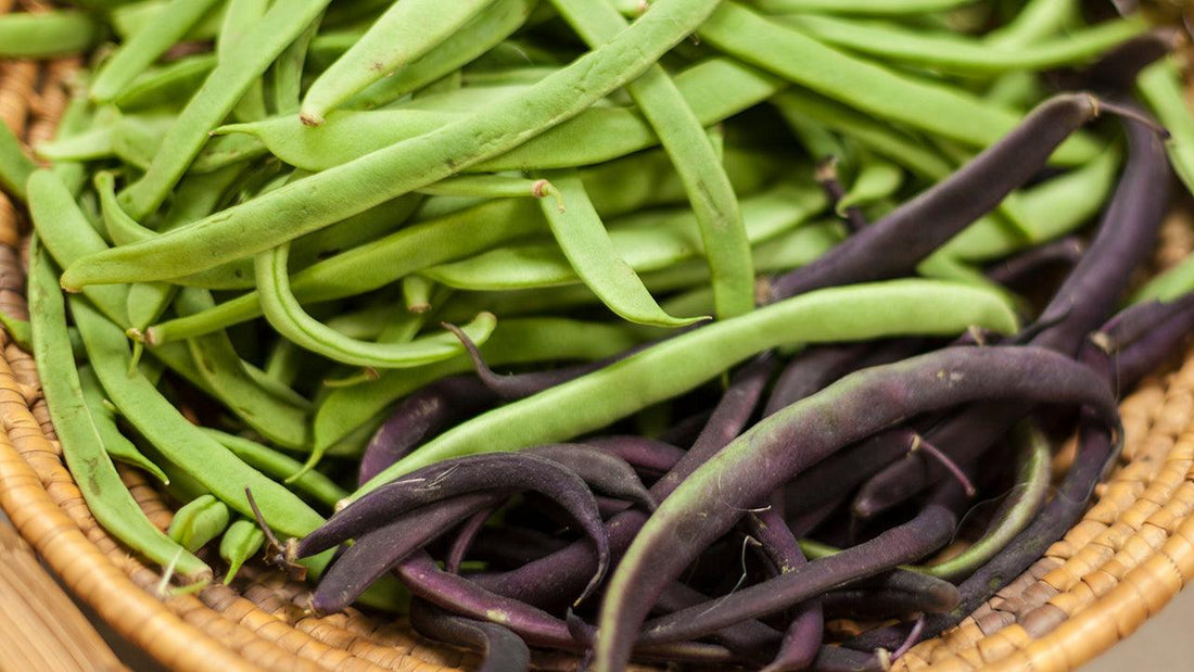 Green and purple beans in a woven basket