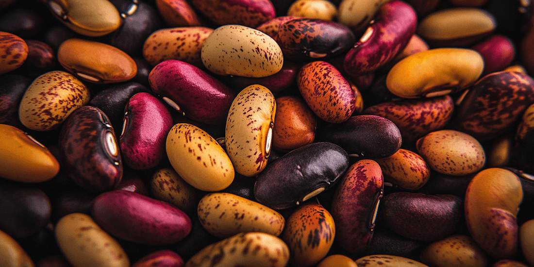 Companion Planting for Thriving Bean Crops