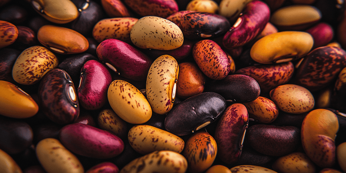 Mixed dried beans spread together