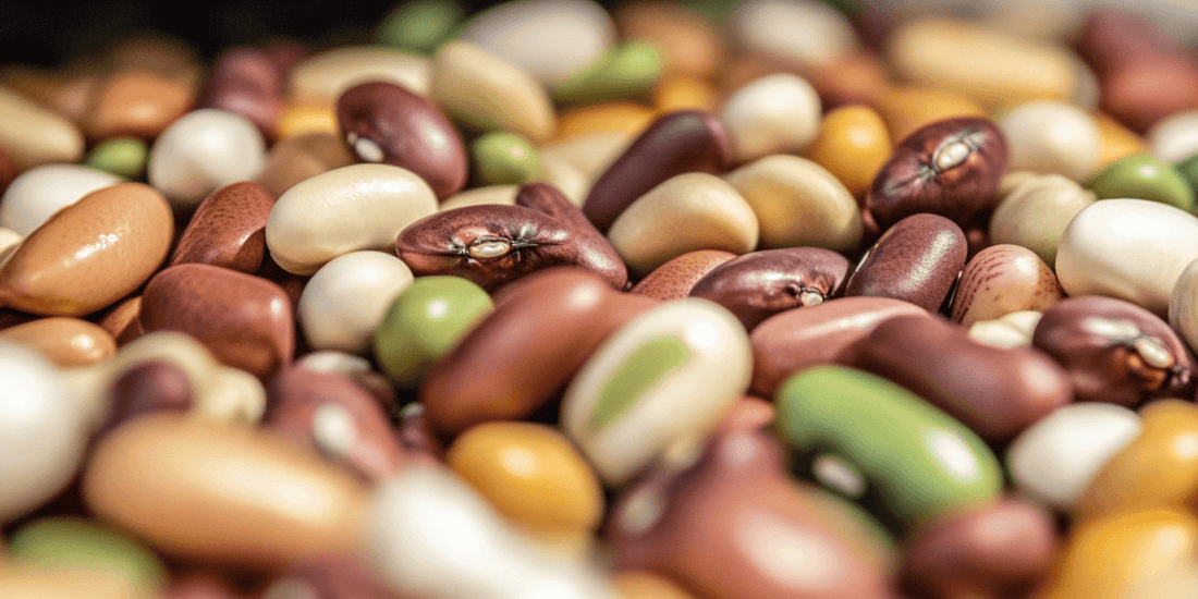 Assorted dried beans in earthy colors