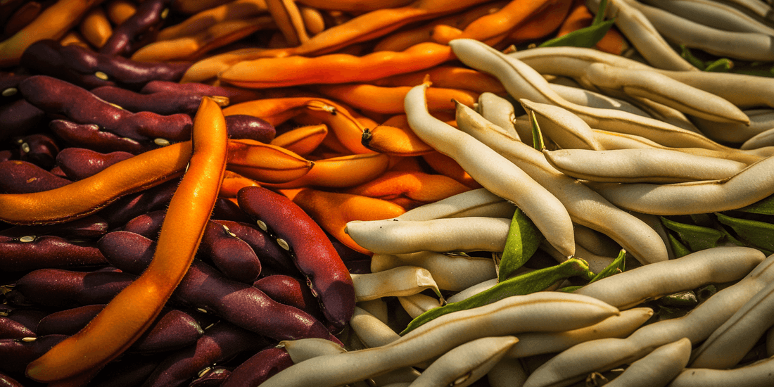 Assorted orange and pale dried beans