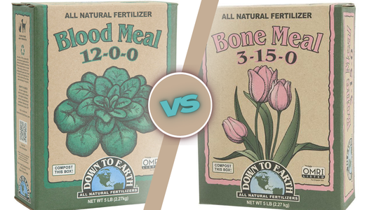 Blood Meal vs Bone Meal: Differences and Best Uses