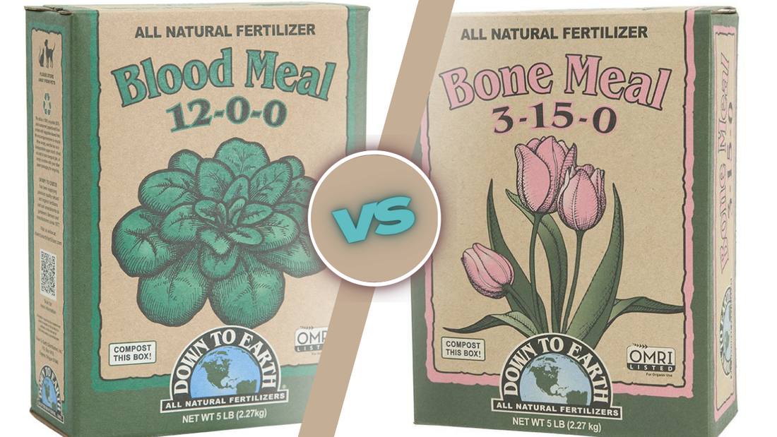 Blood meal and bone meal fertilizer boxes side by side