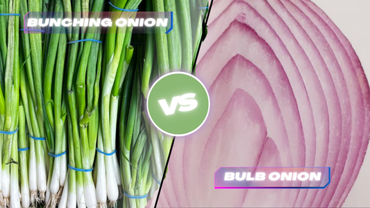 Bunching Onions vs Bulb Onions: Growing Comparison