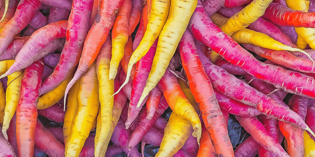 Multicolored carrots arranged side by side