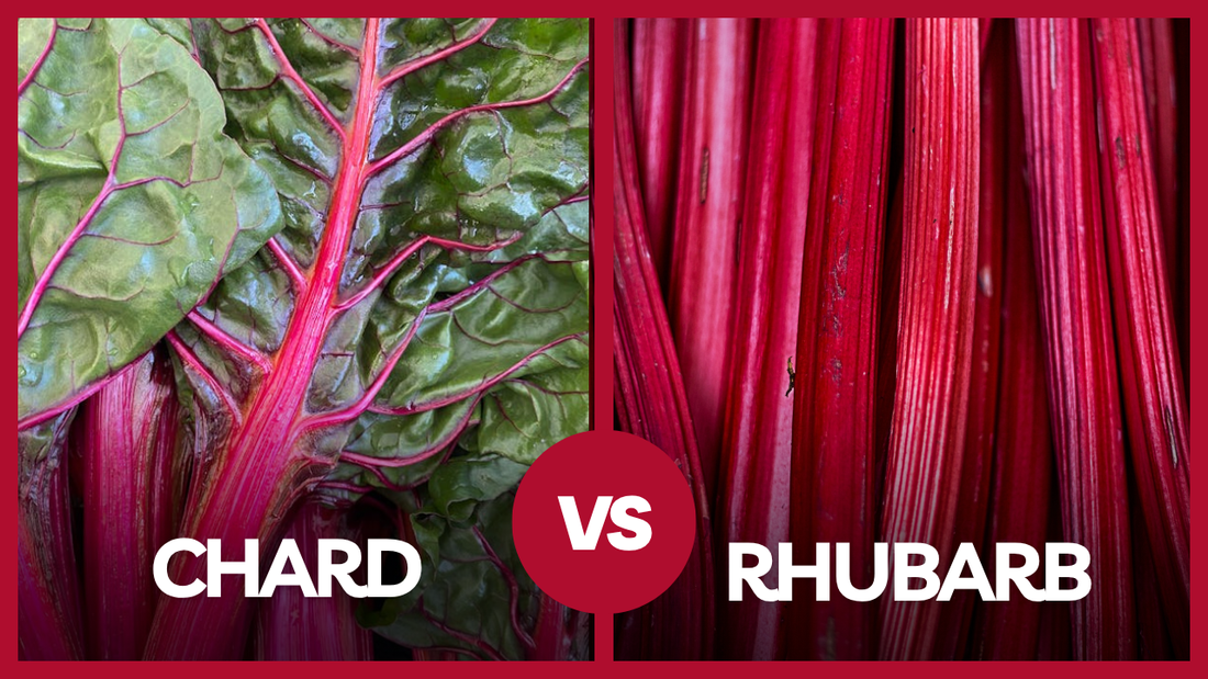 Chard vs Rhubarb