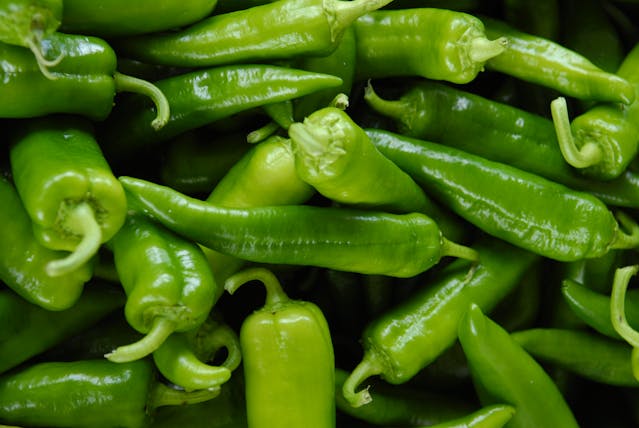 Close-Up Photo of Green Jalapeño Peppers