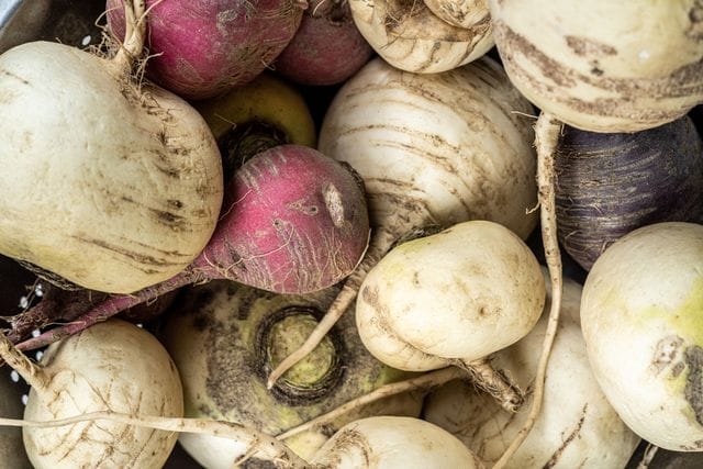 Close-up of assorted fresh turnips highlighting their natural textures in a rustic setting