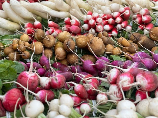 Colorful display of fresh radishes and turnips at a farmer's market, showcasing variety