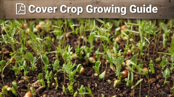 Cover Crop Growing Guide - Grow Organic