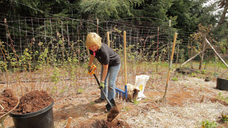 digging in broadfork with garden