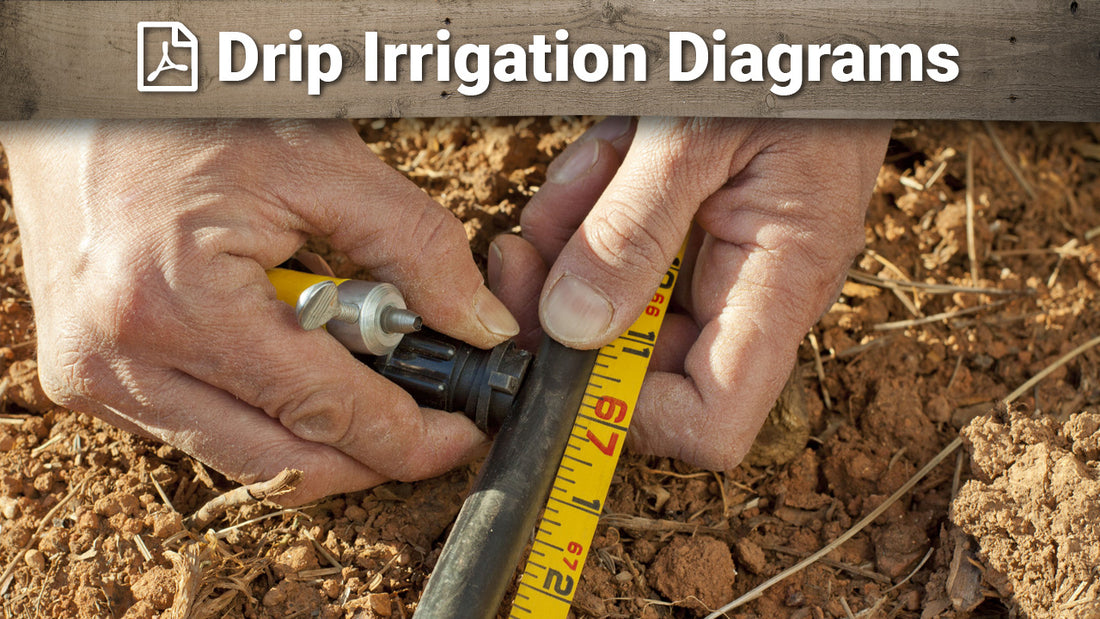 Drip Irrigation Diagrams