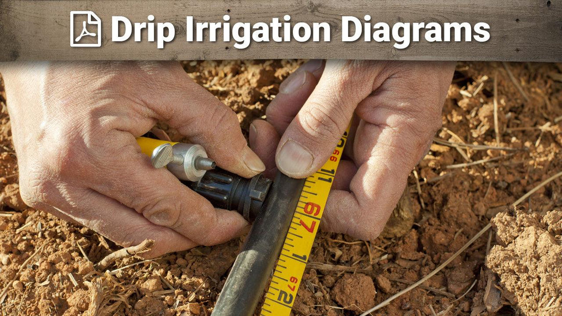 Hands measuring black poly tubing beside a drip fitting