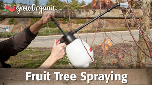 Fruit Tree Spraying for Dormant Trees
