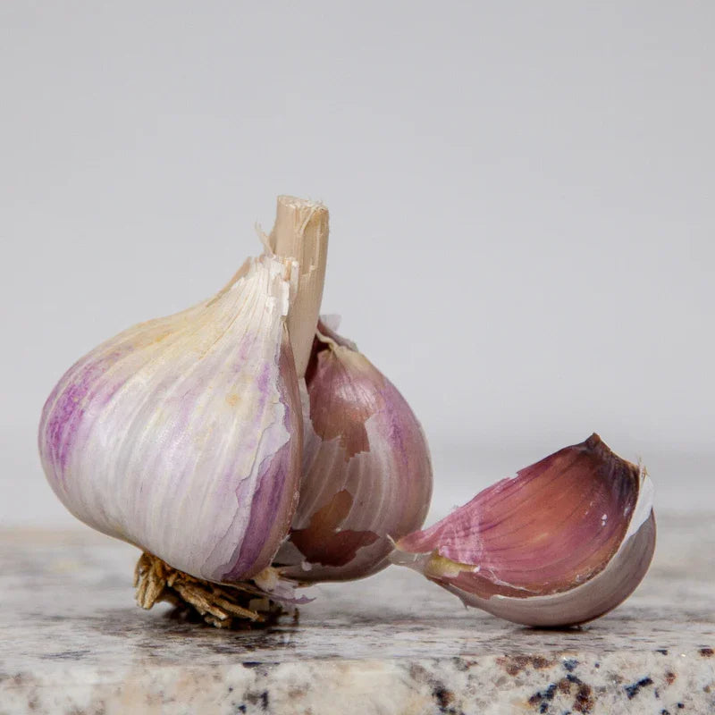 When to Harvest Music Garlic: Storage and Curing Guide