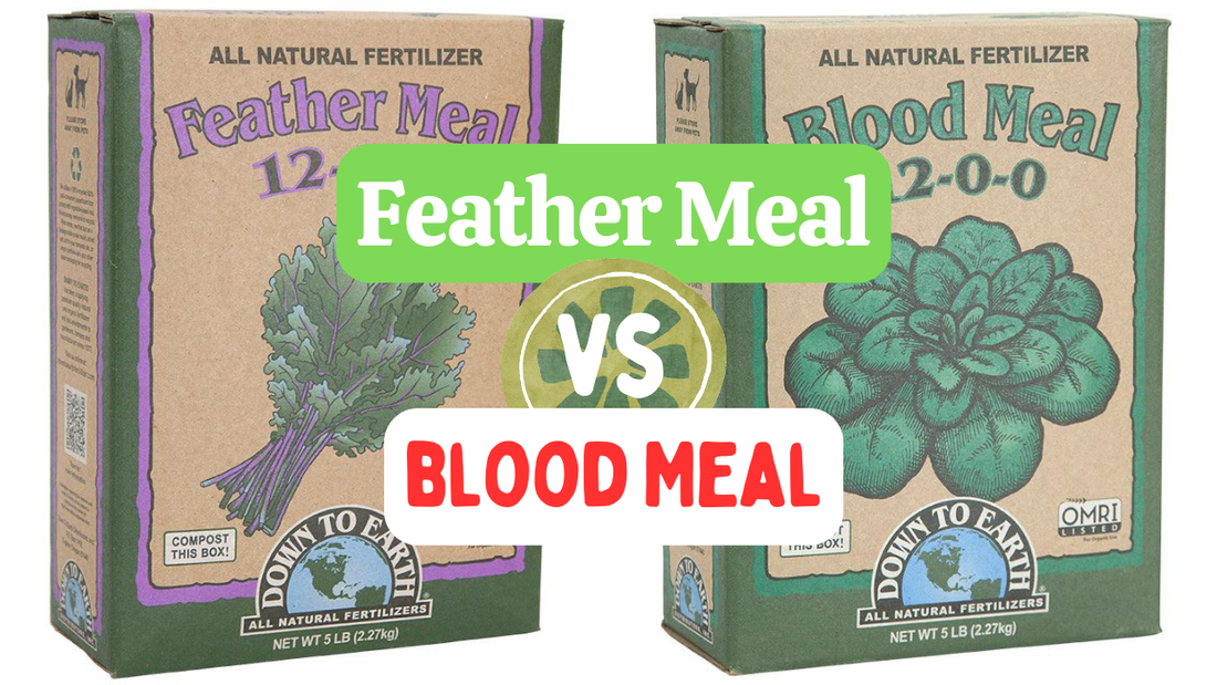 Feather Meal Vs Blood meal