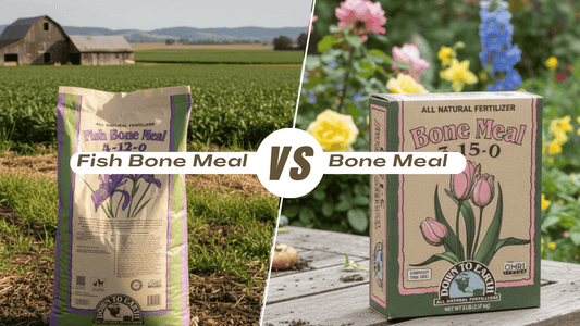 Fish Bone Meal vs Bone Meal