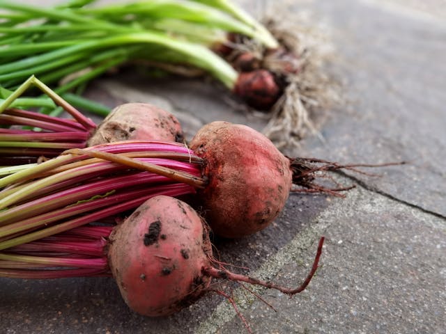 Fresh Harvested Beets on Rustic Surface