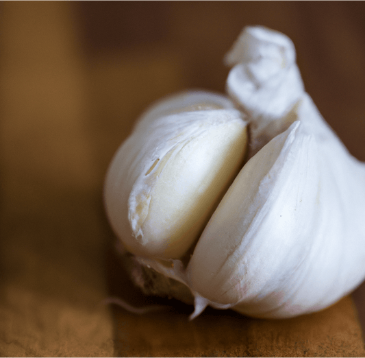 German Extra Hardy Garlic for Planting: Grow Guide