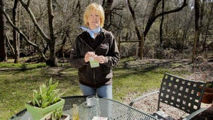 Struggling with Hard-to-Start Seeds? Learn How to Germinate Seeds the Right Way