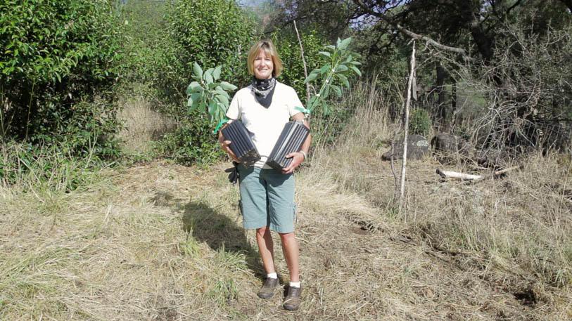 Man standing in a dry field