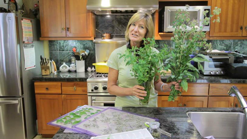 Woman holding freshly harvested herbs in a kitchen