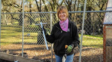 How to Test Your Soil at Home - Grow Organic