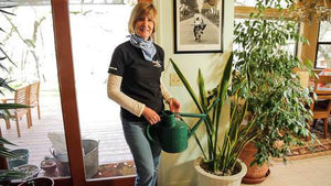 Organic House Plant Care & Pest Control