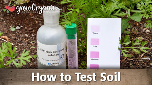 Soil test kit arranged in a garden bed