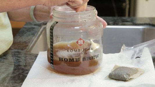 Customized Kombucha in your Kitchen - Grow Organic