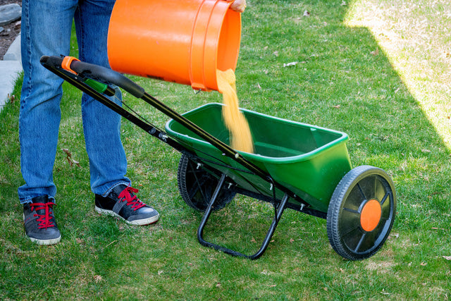 Man pours fertilizer into a drop spreader