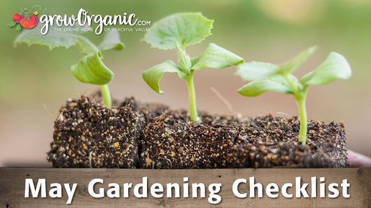 May Gardening Checklist: 19 Tips to Keep Your Garden Healthy in May