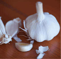 Whole garlic bulb and separated cloves