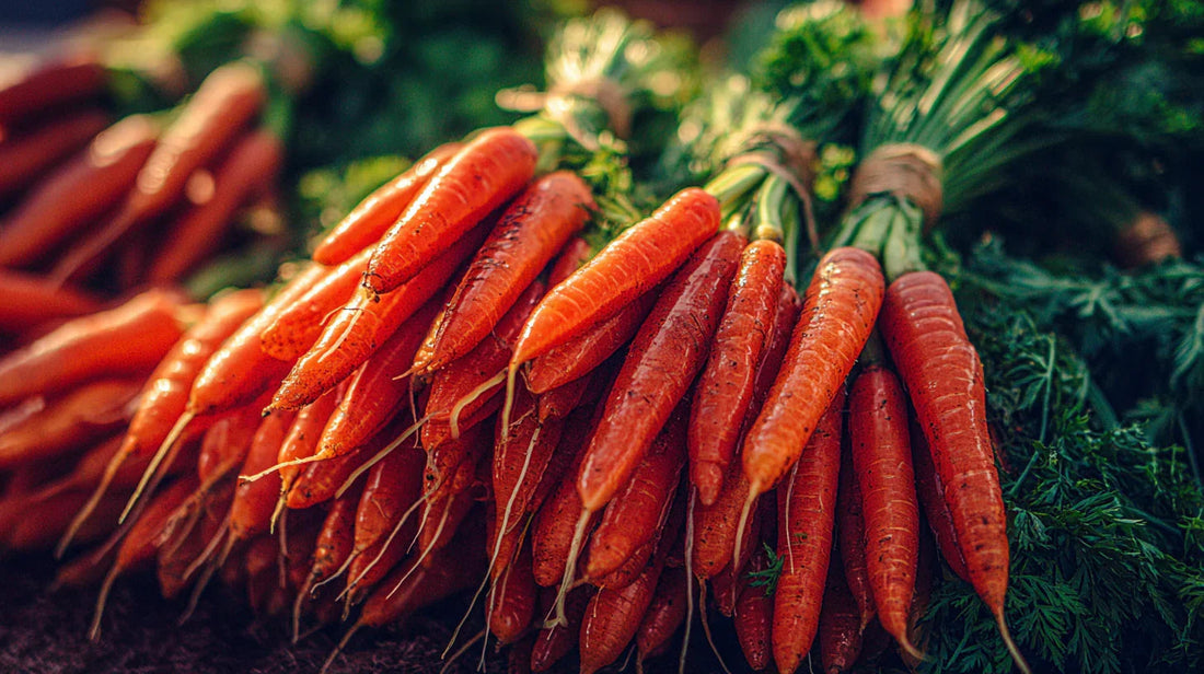 Fresh orange carrots bundled with leafy tops
