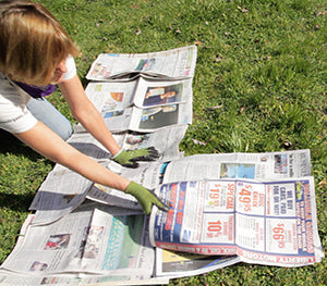 Make a Lasagna Gardening Bed