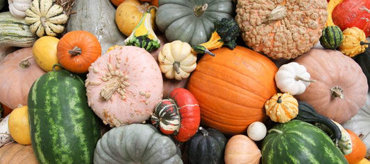 Assorted pumpkins and winter squash