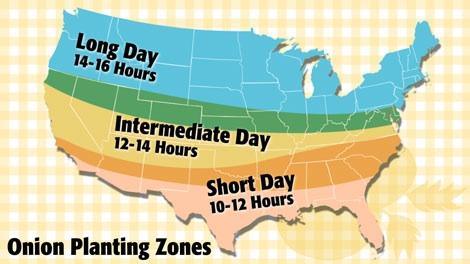 Map of long-day, intermediate-day, and short-day onion zones
