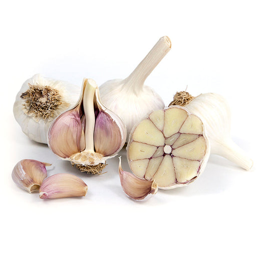 Spanish Roja Garlic Growing: Planting and Harvest Guide