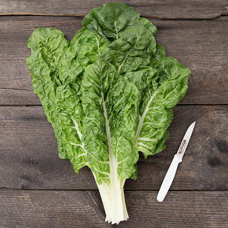 Large green chard leaf beside a knife