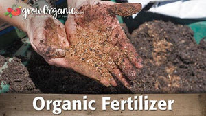 How to Fertigate with Organic and Natural Fertilizers