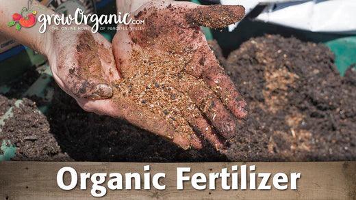 Hands holding granular organic fertilizer over soil