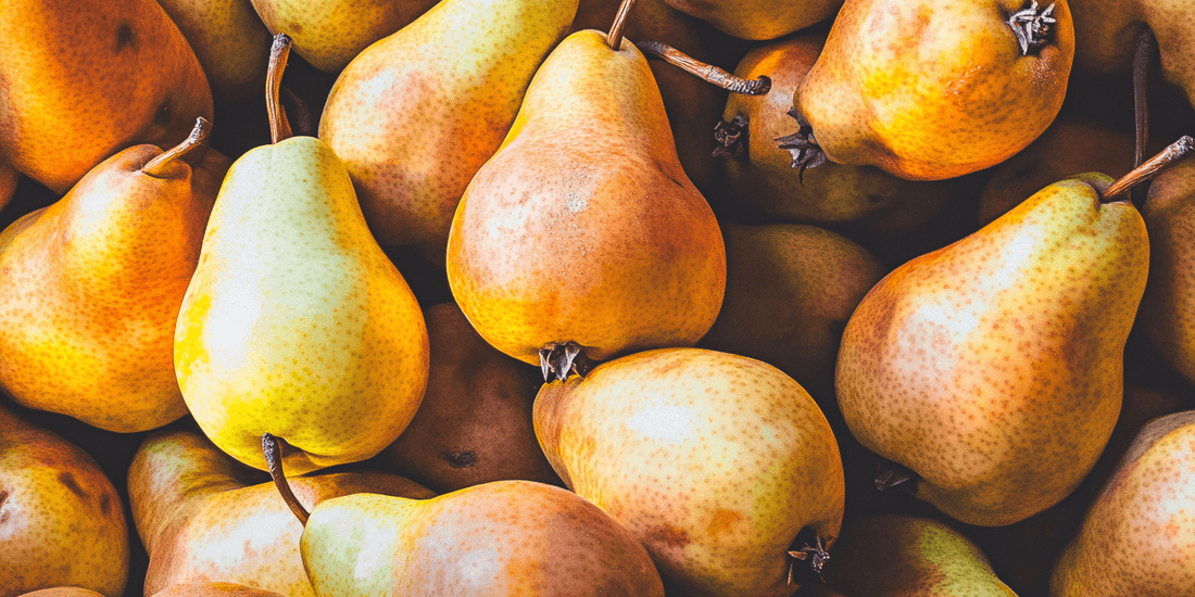 European and Asian pears ready for careful harvest