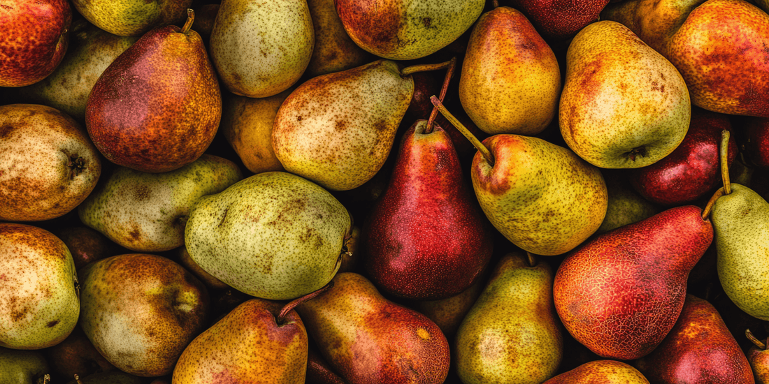Asian and European pear varieties for home orchards