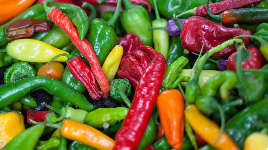 Assorted red, orange, green, and yellow peppers