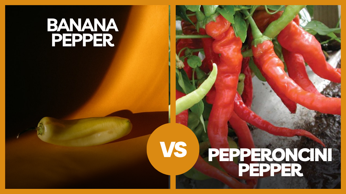 Pepperoncini vs Banana Pepper: What’s the Real Difference?